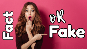 Fact or Fact - Ai Illusions